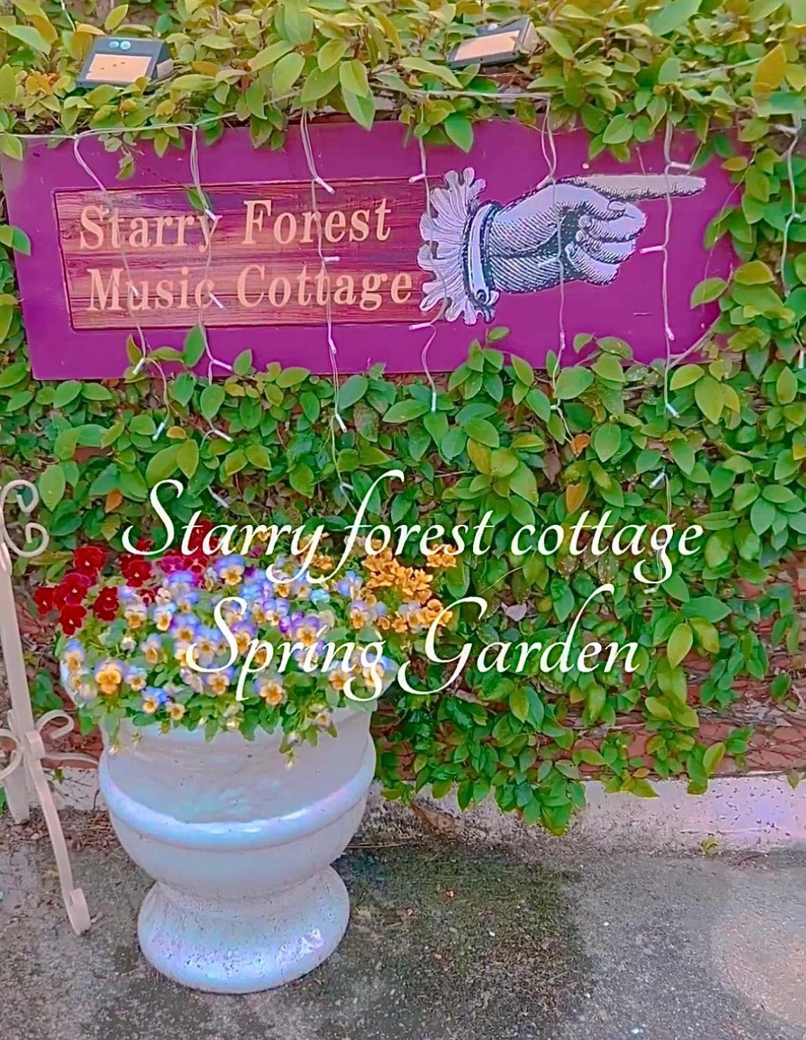 Cats,Piano & Starry Sky Resort Garden -Starry Forest Cottage Okinawa- Onna Ngoại thất bức ảnh