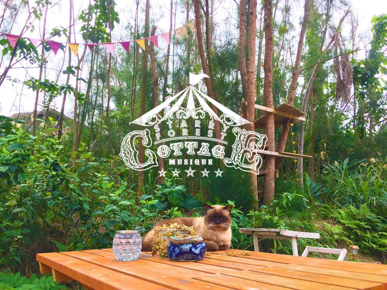 Cats,Piano & Starry Sky Resort Garden -Starry Forest Cottage Okinawa- Onna Ngoại thất bức ảnh